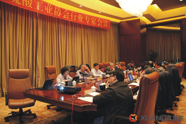 乐鱼网页版登录入口承办中国硫酸工业协会行业专家会议